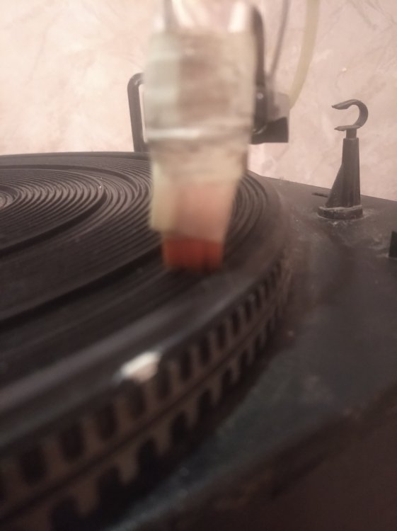 1658849962767 (1).jpg