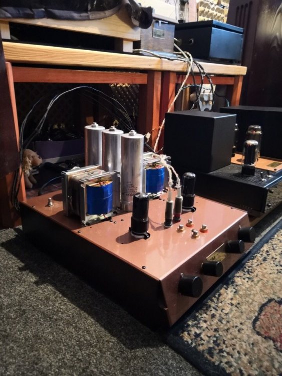 6tkqO894oYoпред перцева на никеле.jpg