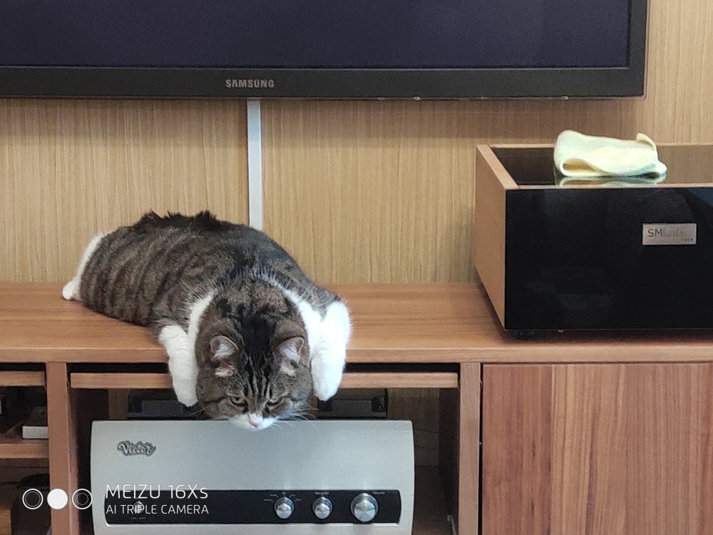 xm9s1ItstRkцап денисв.jpg