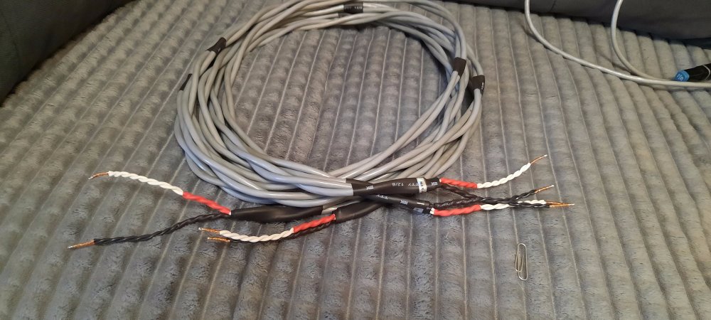 20230512_142210 (1).jpg