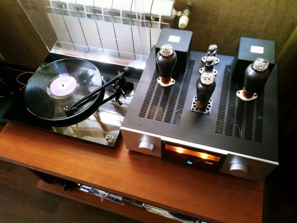 300В вид сбоку.jpg