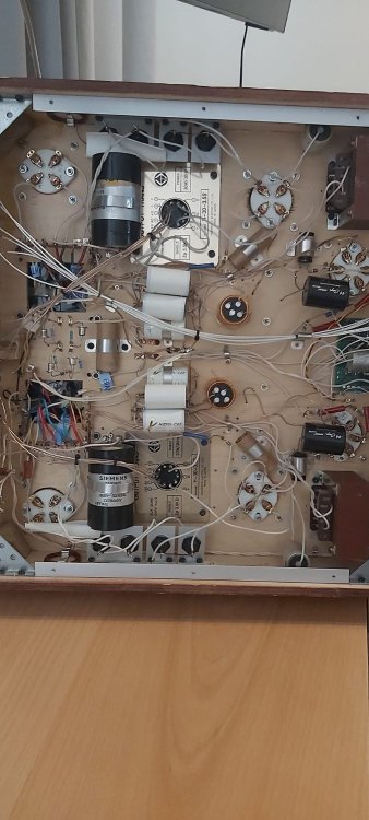 411065436_6843419362378821_592737692774157341_n (1).jpg