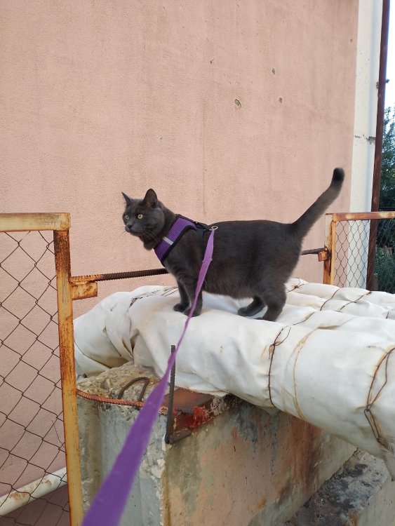 WhatsApp Image 2024-09-14 at 18.30.04.jpeg