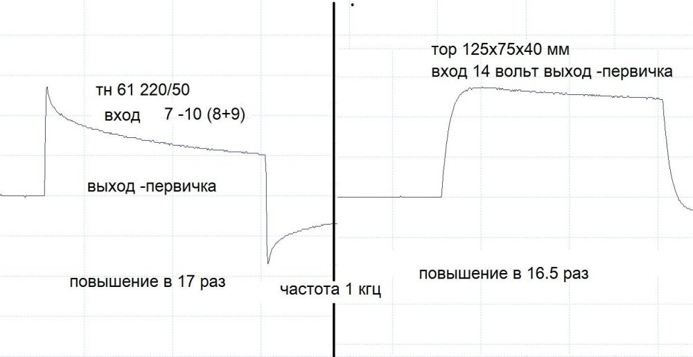 тн тор меандр.jpg