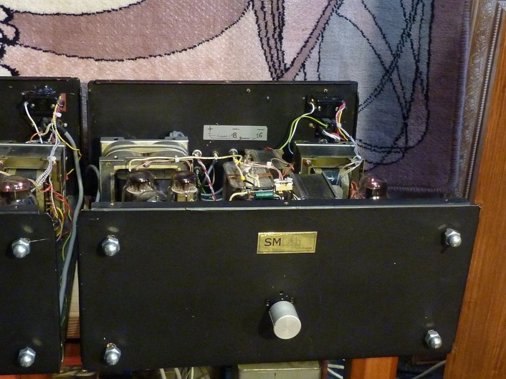 img0021моноблоки  сдвоенные ел156 гены.jpg