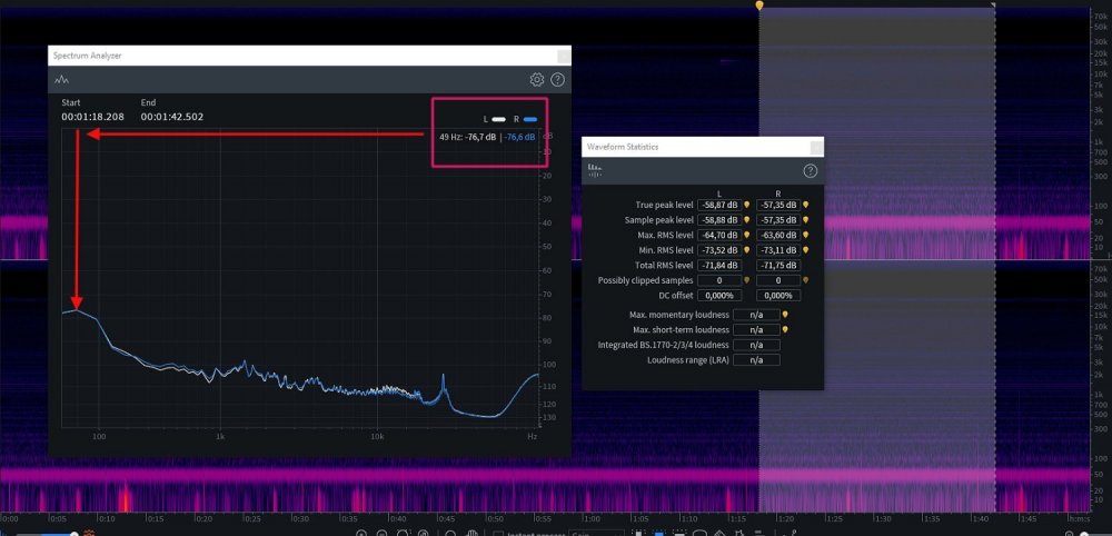 ВЕРТА ВИСИТ.jpg