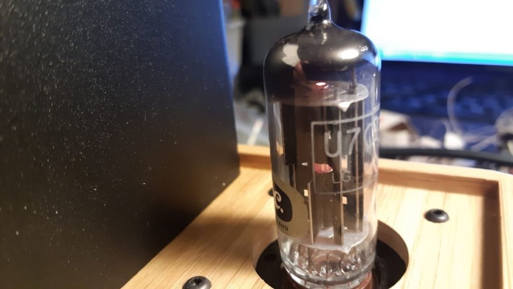 WhatsApp Image 2018-10-31 at 17.16.48.jpeg