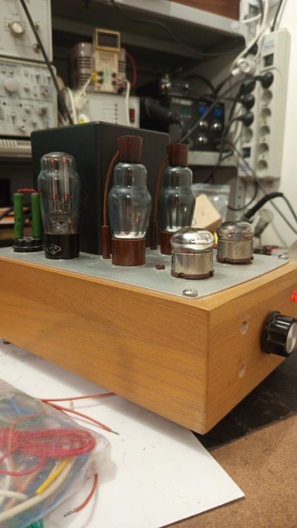 WhatsApp Image 2025-03-07 at 20.56.27.jpeg