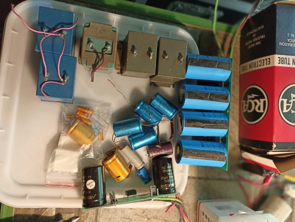 Изображение WhatsApp 2025-07-29 в 09.13.44_b1c93f4d.jpg