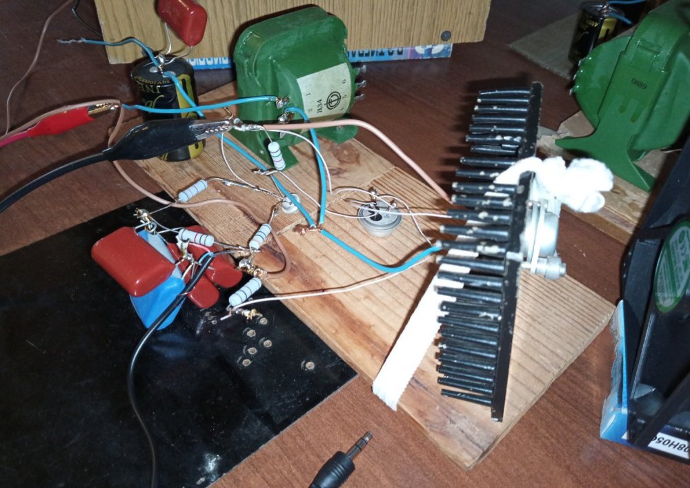 IMG_20250906_183013_829_063717 (1) (2).jpg