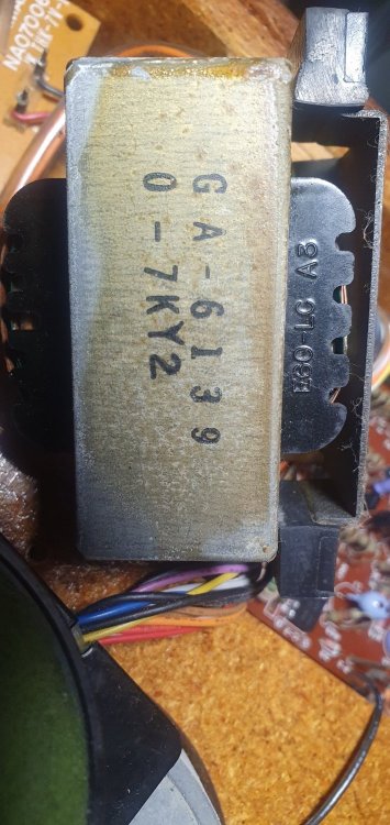 20241018_205447.jpg