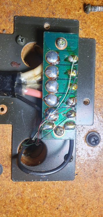 20241020_163108.jpg