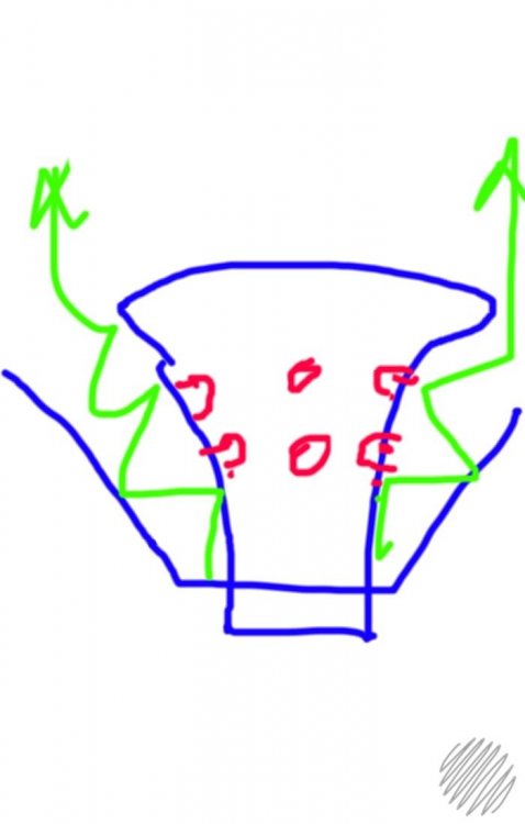 IMG_2654.jpeg