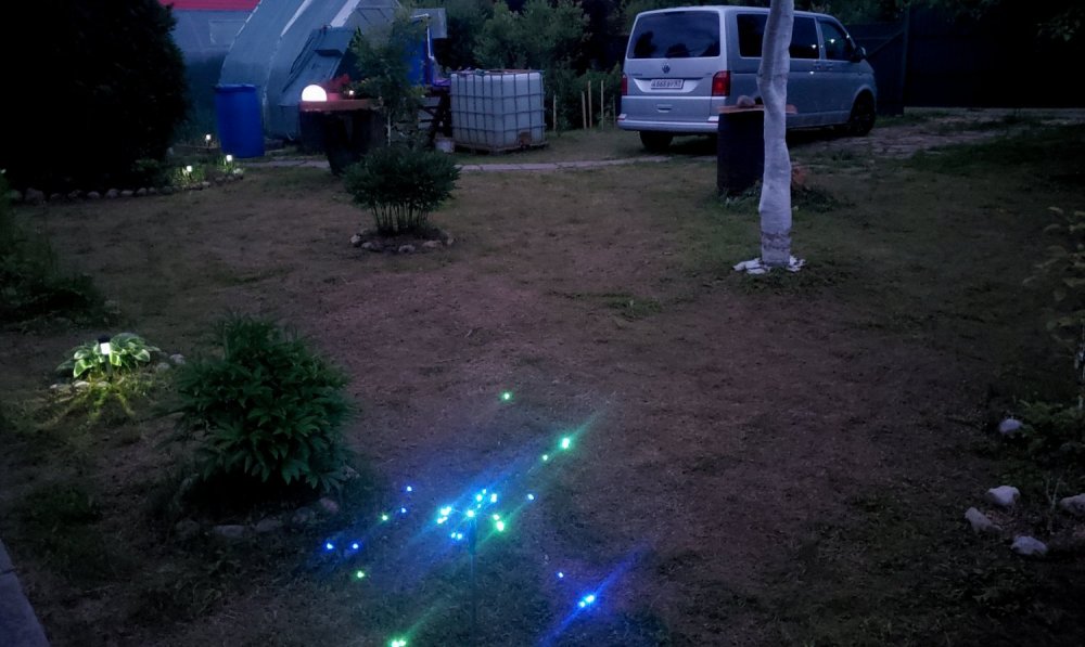 005.jpg