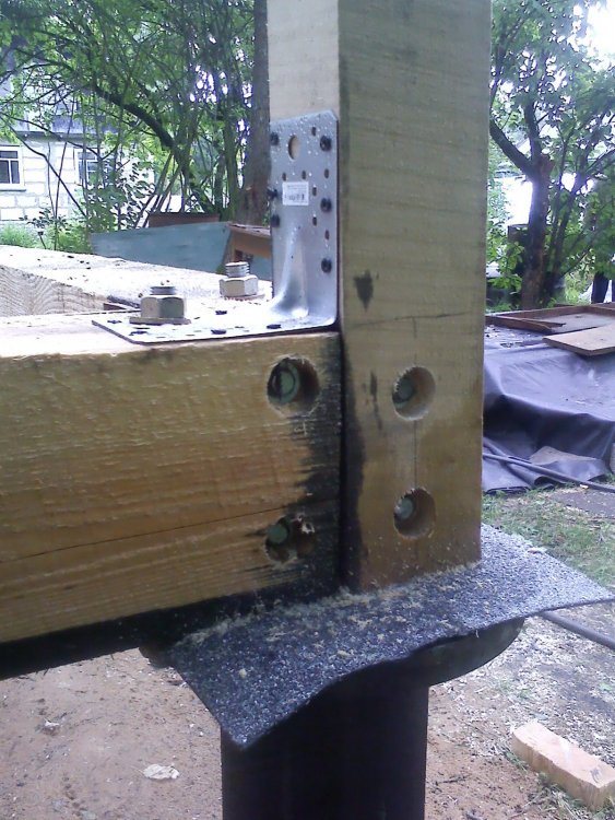 IMG00053.jpg