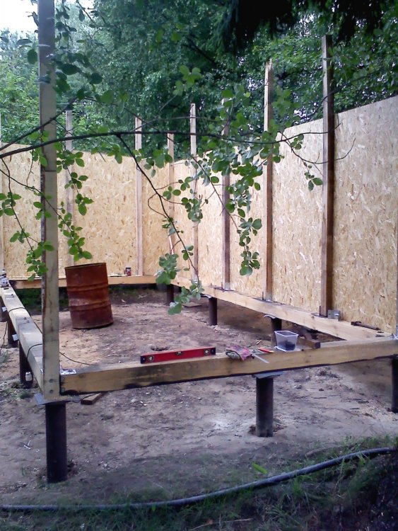 IMG00059.jpg