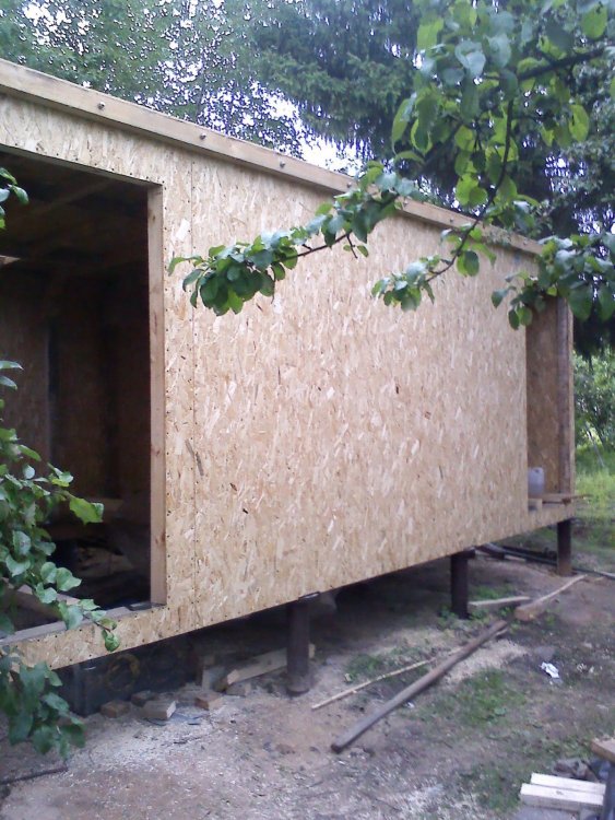 IMG00062.jpg