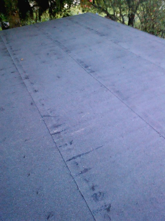 IMG00068.jpg