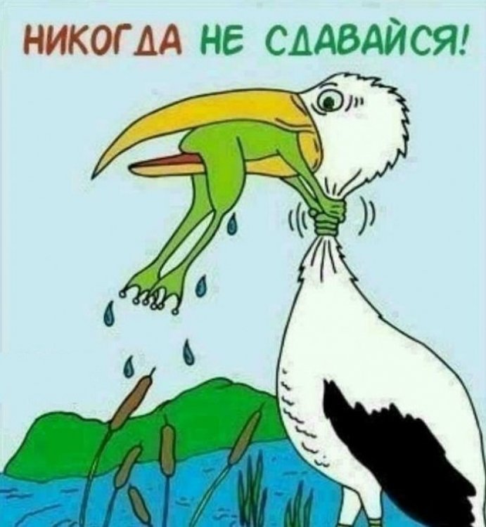 ID040.thumb.jpg.0a834d84180820fc63ec09556c2d85f7.jpg